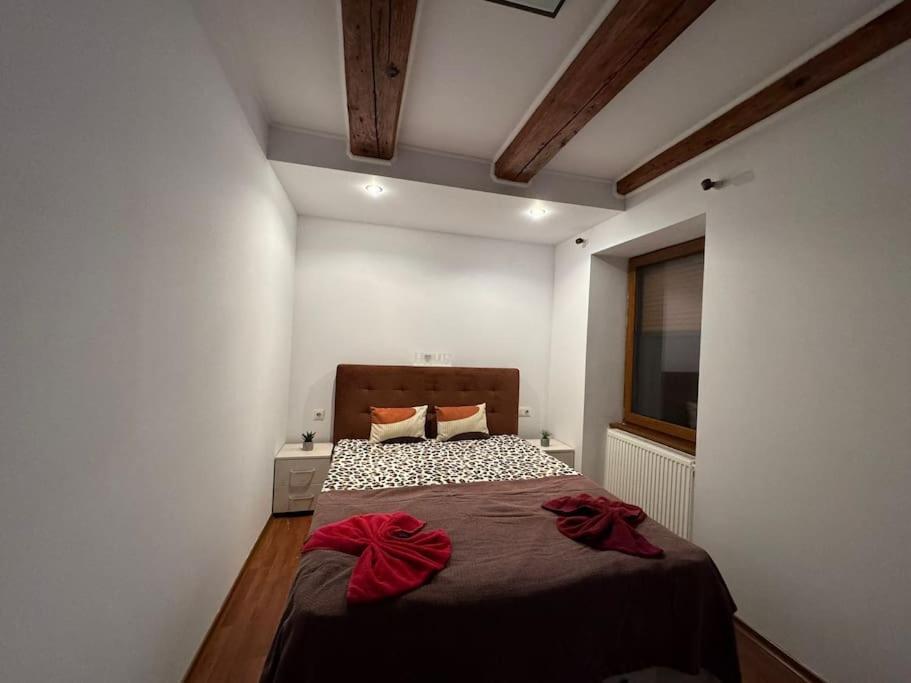 Iazi Apartament Braşov Eksteriør billede