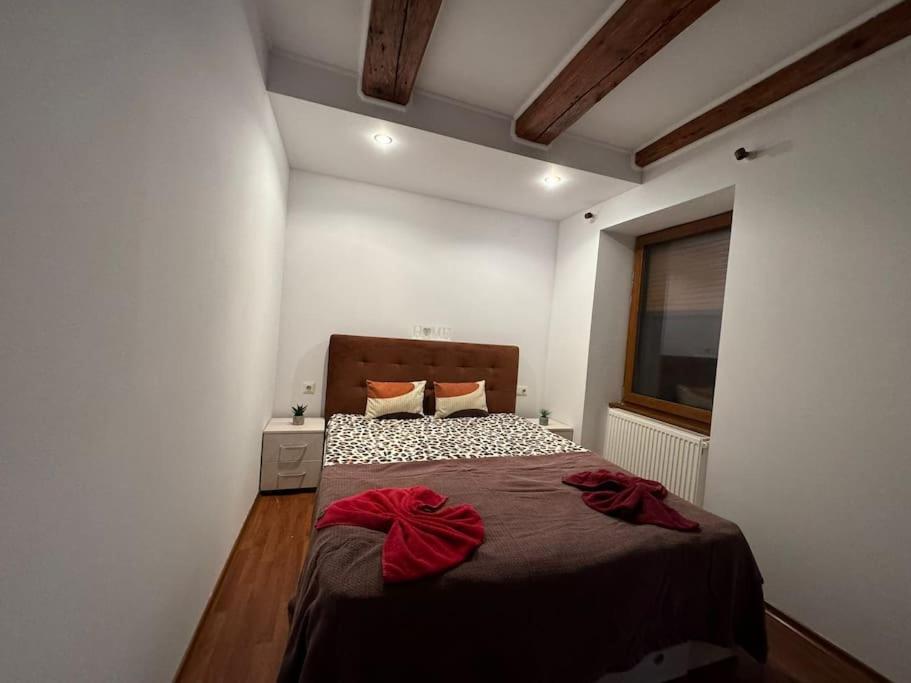 Iazi Apartament Braşov Eksteriør billede