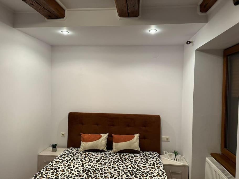 Iazi Apartament Braşov Eksteriør billede