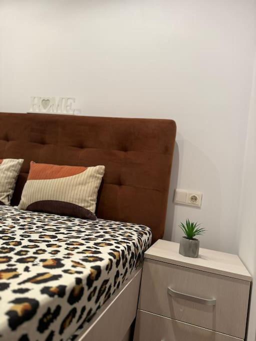 Iazi Apartament Braşov Eksteriør billede