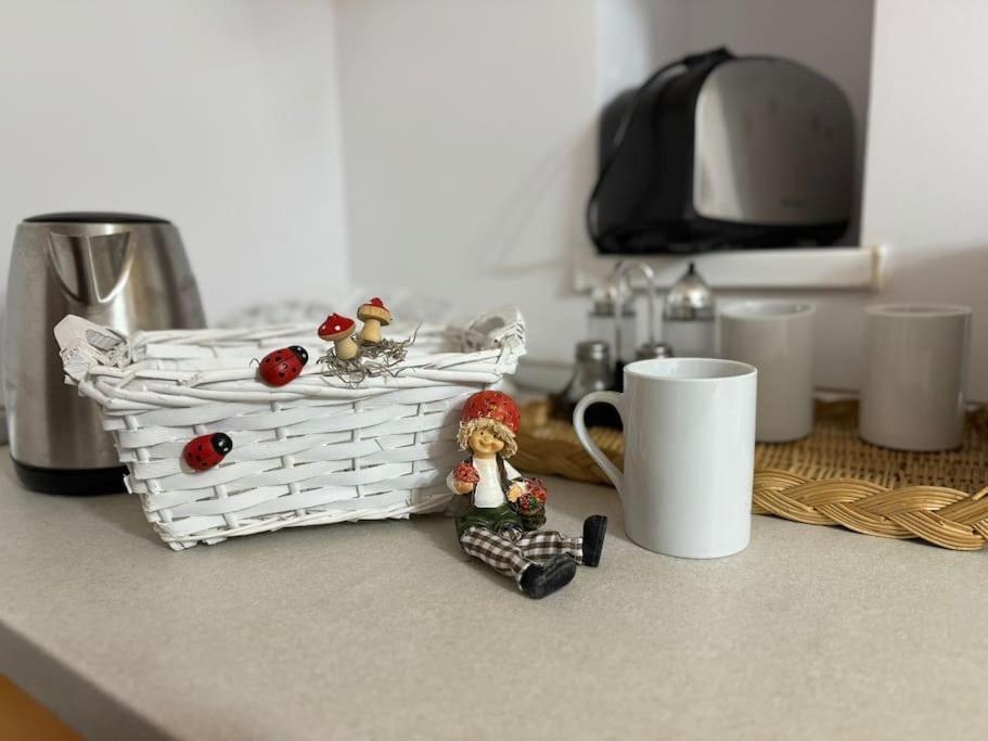 Iazi Apartament Braşov Eksteriør billede