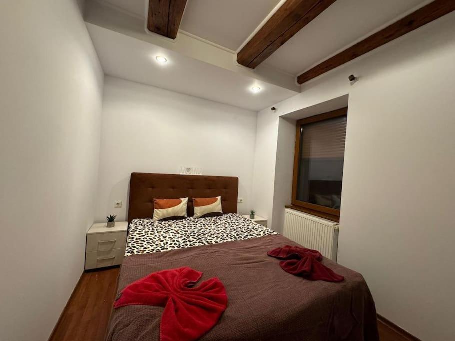 Iazi Apartament Braşov Eksteriør billede