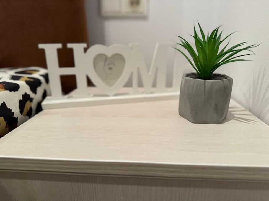 Iazi Apartament Braşov Eksteriør billede